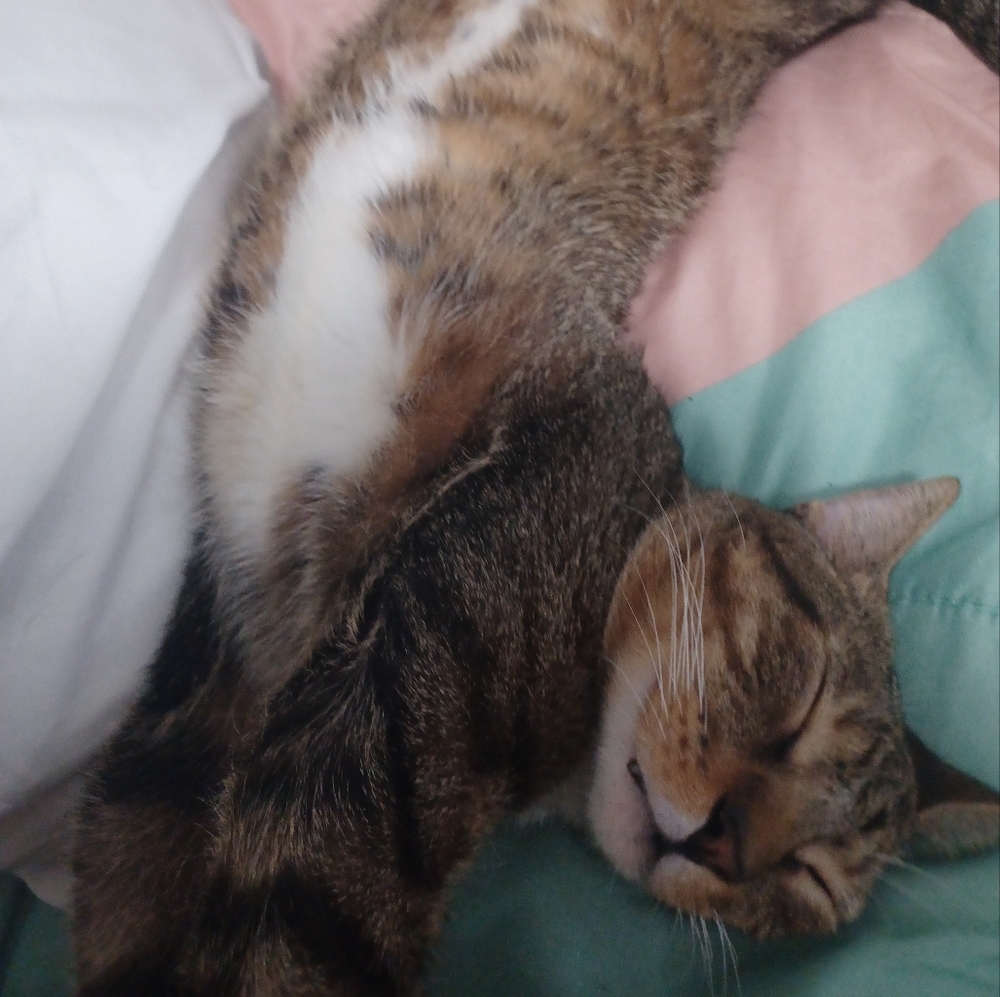 Meet your Posher, Amanda